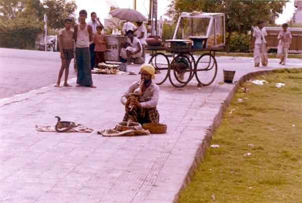 Snake charmer in yellow turban on sidewalk, baskets and cobra, wooden cart nearby