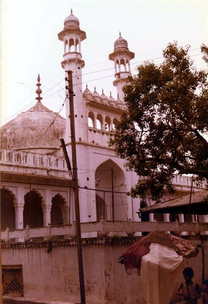 White mosque with dome and minarets among trees, passenger beside a street vendor