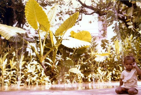 Toddler sitting by a fountain near large tropical leaves