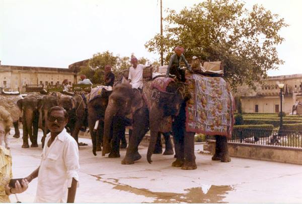 Blanketed elephants with mahouts wait for tourists outside Amber Fort, Jaipur