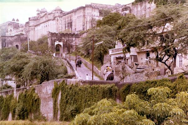 Elephants climb the road to Amber Fort among houses and walls