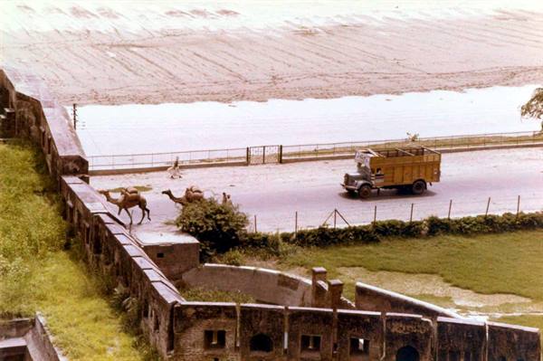 Camels and yellow truck on road by the river, old fort walls in foreground