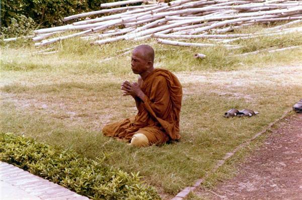 Monk in ochre robe kneeling praying on grass, bamboo poles piled nearby
