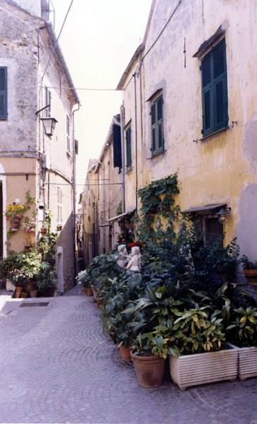 Cobbled alley between ochre houses with green shutters, statue pot and plants