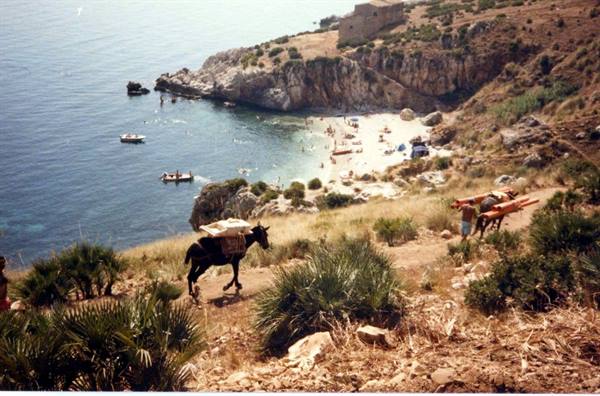 A loaded mule descends toward the beach at Zingaro Reserve