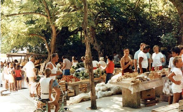 Open-air market under trees, stalls with watermelons and tomatoes, people shopping