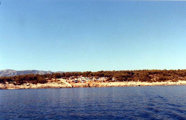 Village among pines on rocky coast, blue sea, clear sky
