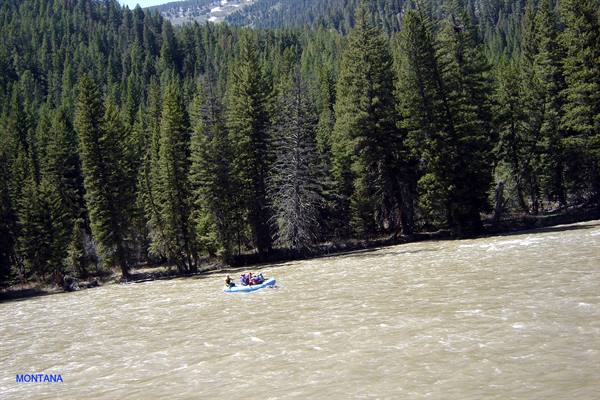 Montana