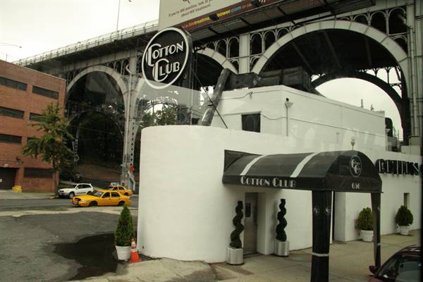 the Cotton Club