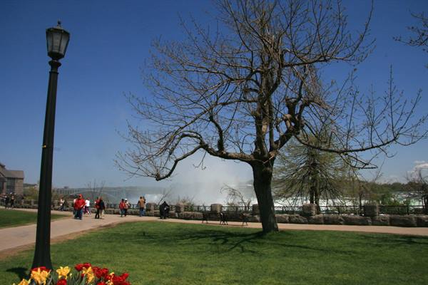 Niagara Falls
