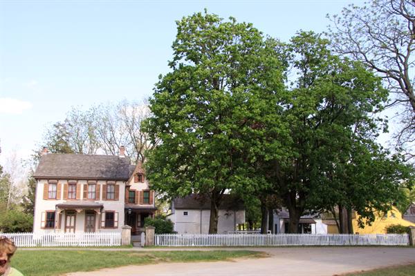 Landys Valley Museum