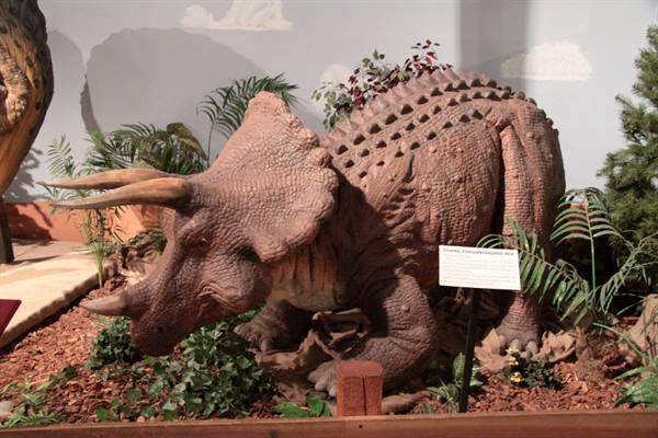 Dinosaur Journey Museum