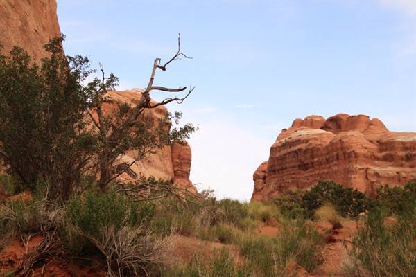 Arches National Park