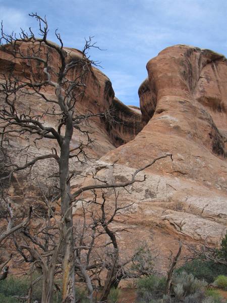 Arches National Park