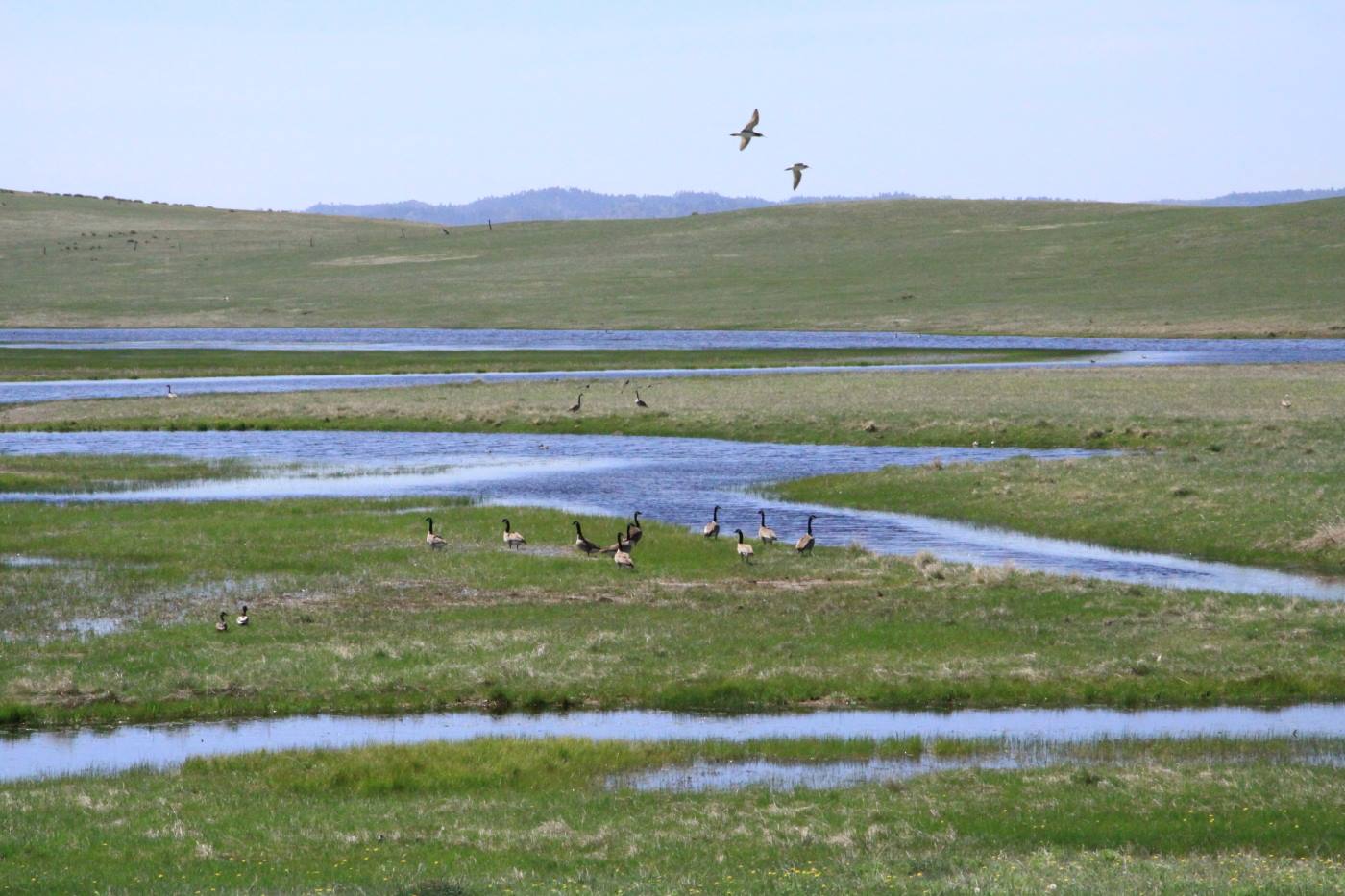 Wyoming