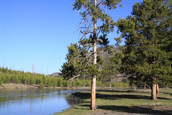 Yellowstone Park