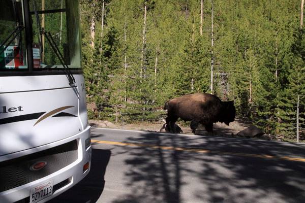 Yellowstone Park