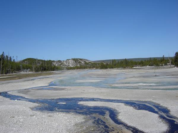 Yellowstone Park