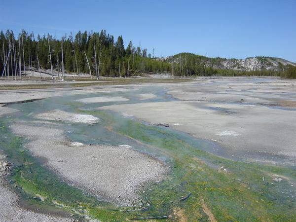 Yellowstone Park