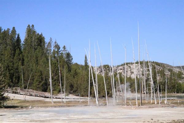 Yellowstone Park