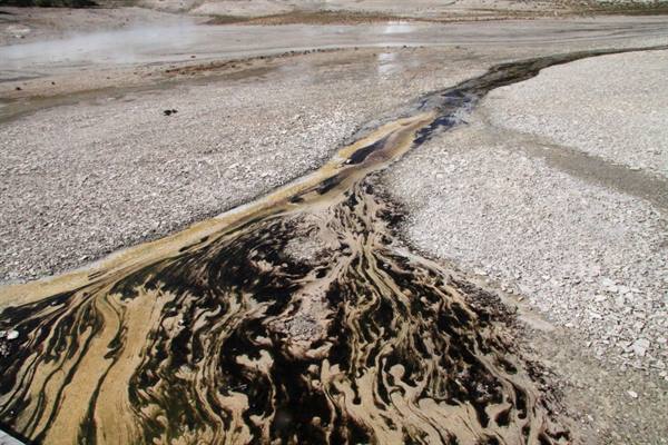 Yellowstone Park