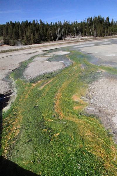Yellowstone Park