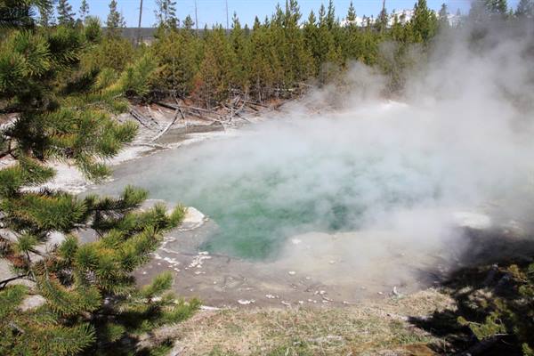 Yellowstone Park