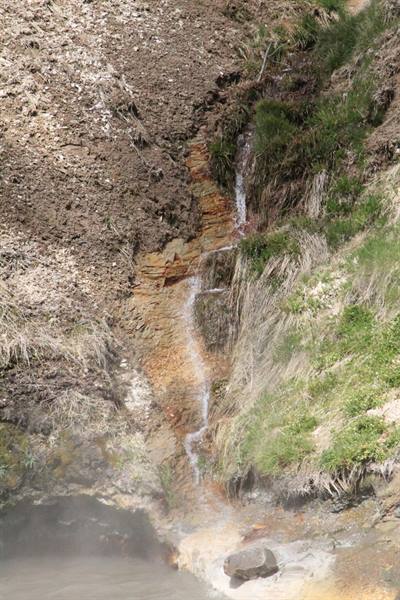 Yellowstone Park