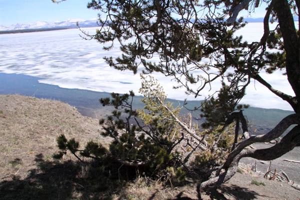 Yellowstone Park - Yellowstone Lake