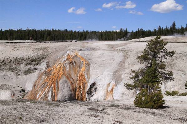 Yellowstone Park - Old Faithful Geyser Basin