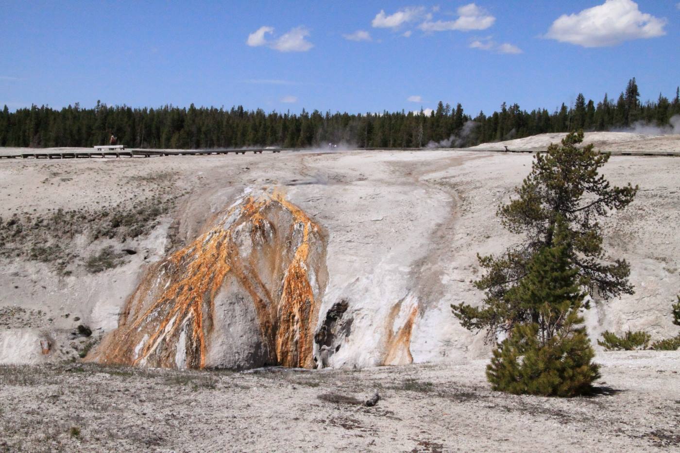 Yellowstone Park - Old Faithful Geyser Basin