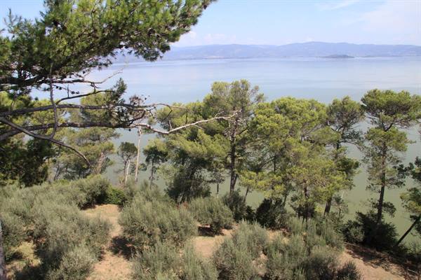 Castiglione del Lago - view from the Castle