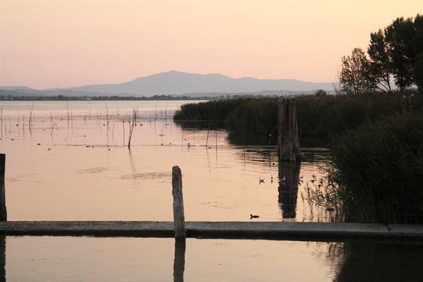 Polvese Island