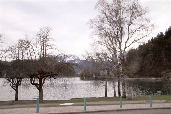 Lake Bled 