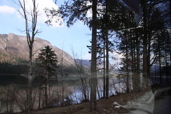 Lake Bohinj