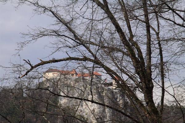 Bled Castle