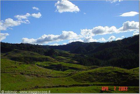 Green hills with wooden fence, dark woods and white clouds under sunshine