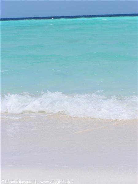 Foamy wave breaking on white sand, turquoise water in Sassi beach