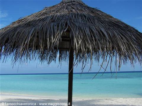 Thatched beach umbrella on white sand before the turquoise sea
