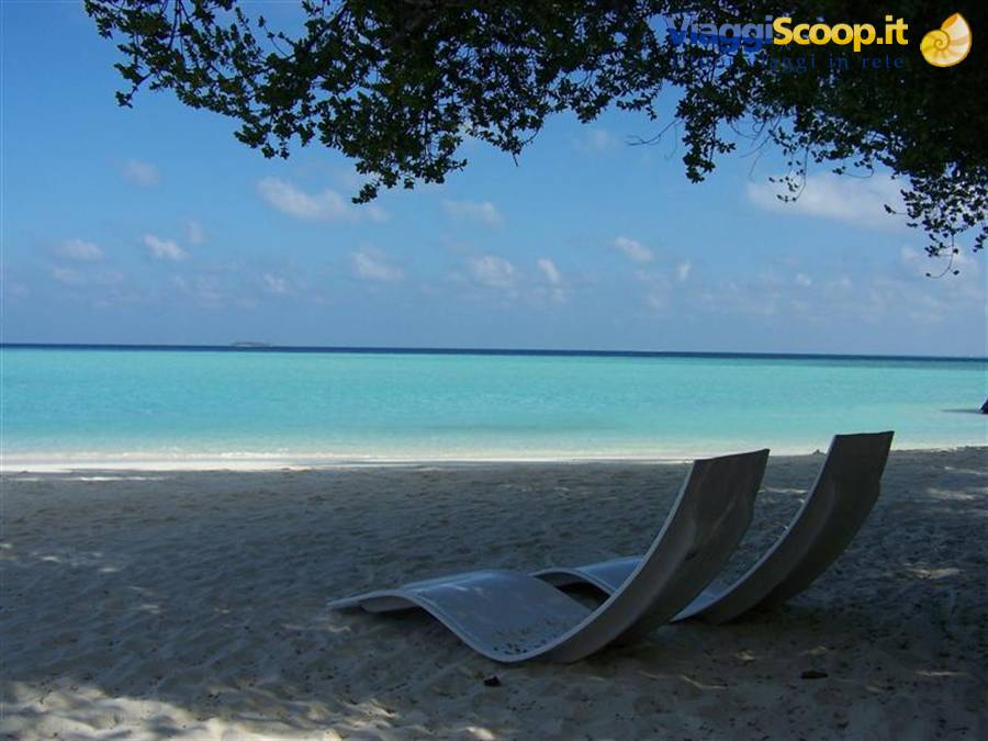 Two curved metal seats on shaded sand facing the turquoise sea