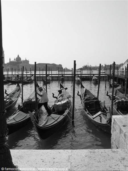 Moored gondolas in Venice, a gondolier maneuvers among wooden poles facing San Giorgio