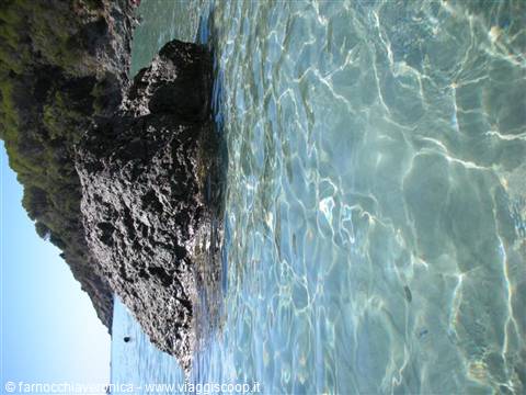 Dark rock in clear turquoise water with light reflections, greenery along the shore