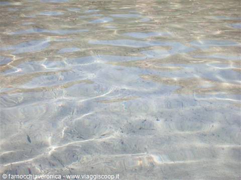Clear rippling water shimmering over pale sand