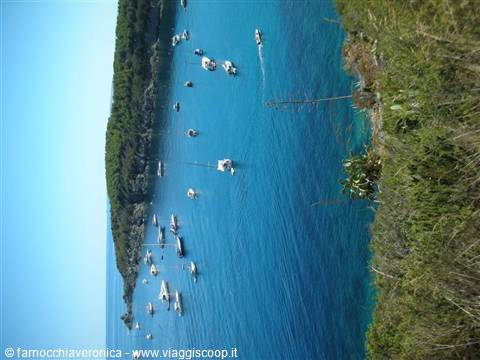 White boats anchored in turquoise bay, wooded shore and Mediterranean scrub