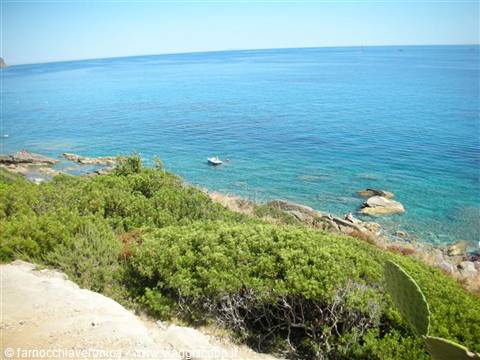 Mediterranean shrubs over rocky shore, small boat on turquoise sea