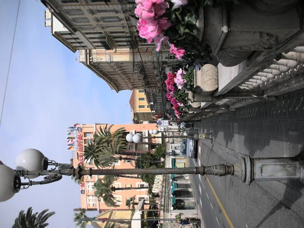 casino avenue