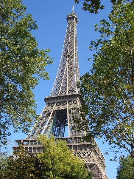 The wrought-iron Eiffel Tower rises among green trees under a blue sky