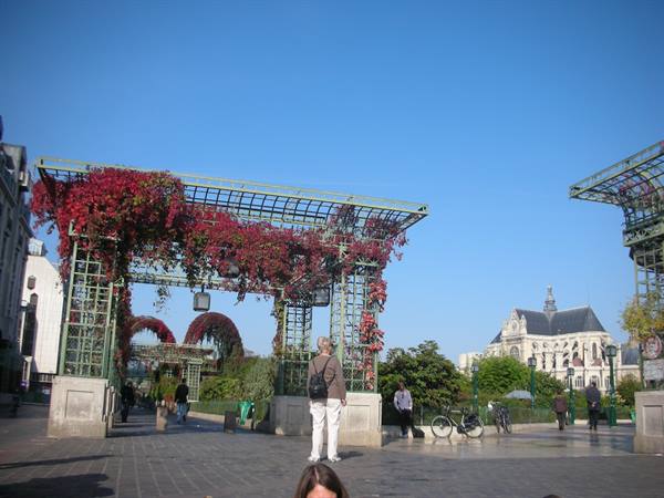 Iron pergola with red vines, tourist standing beneath, bicycles, Paris