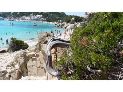 Cala corsara-Budelli