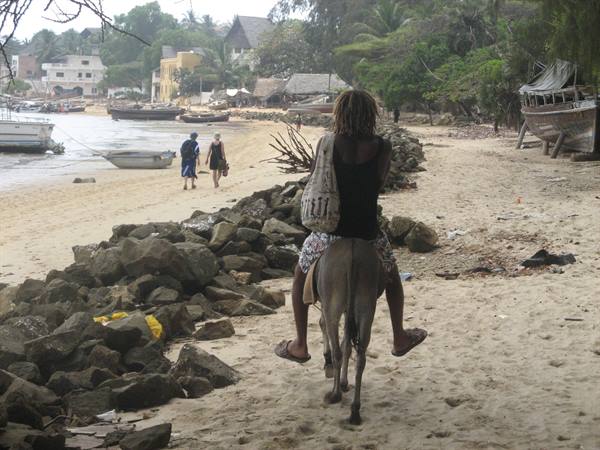 Lamu-Shela in punda!